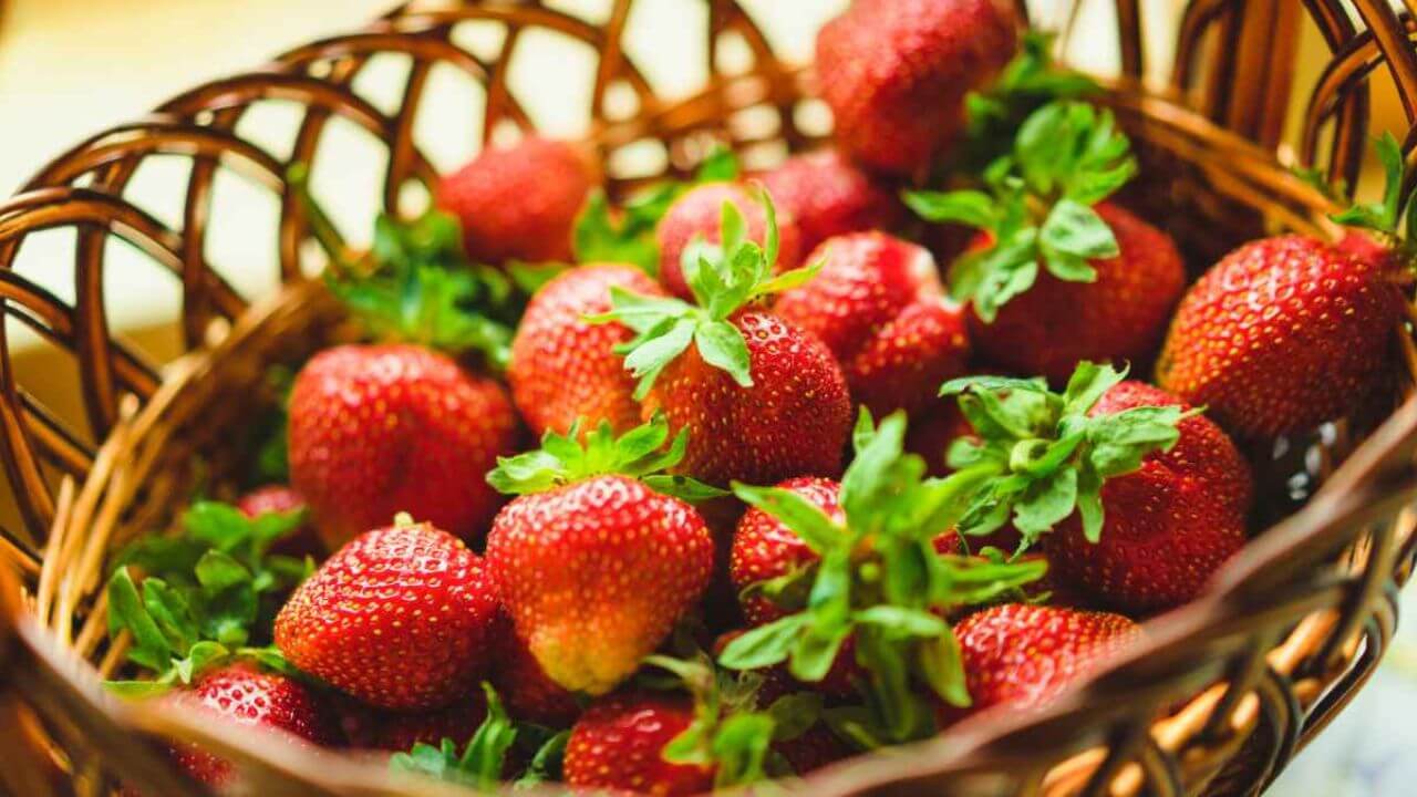 Basket of Strawberries