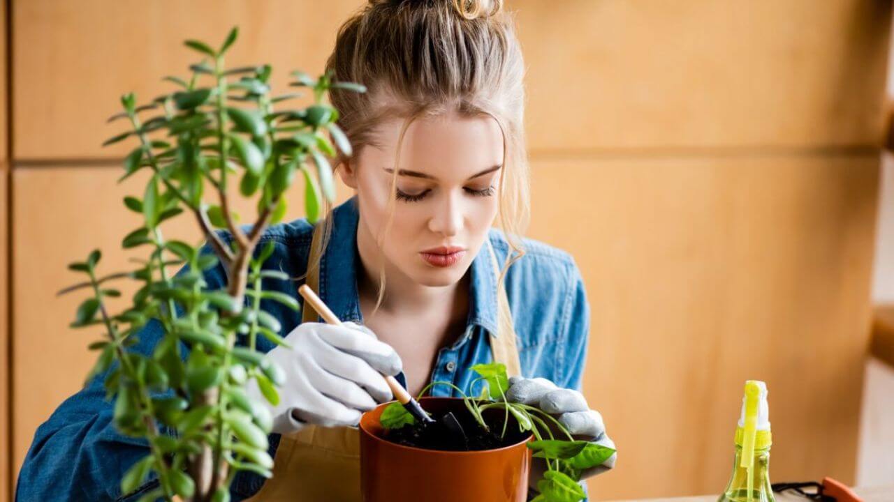 Beautiful Woman Gardening Carefully