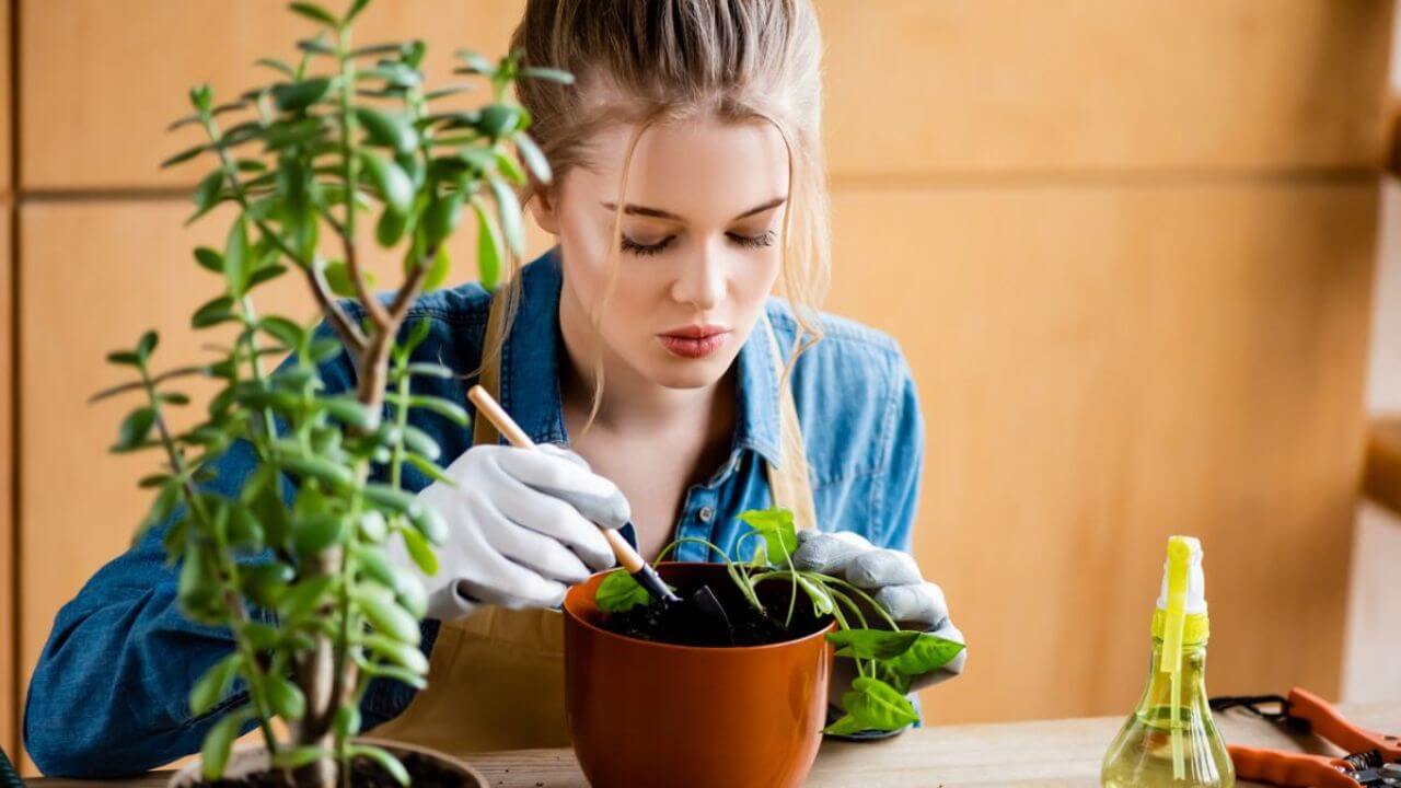 Beautiful agricultural worker tending to her plant