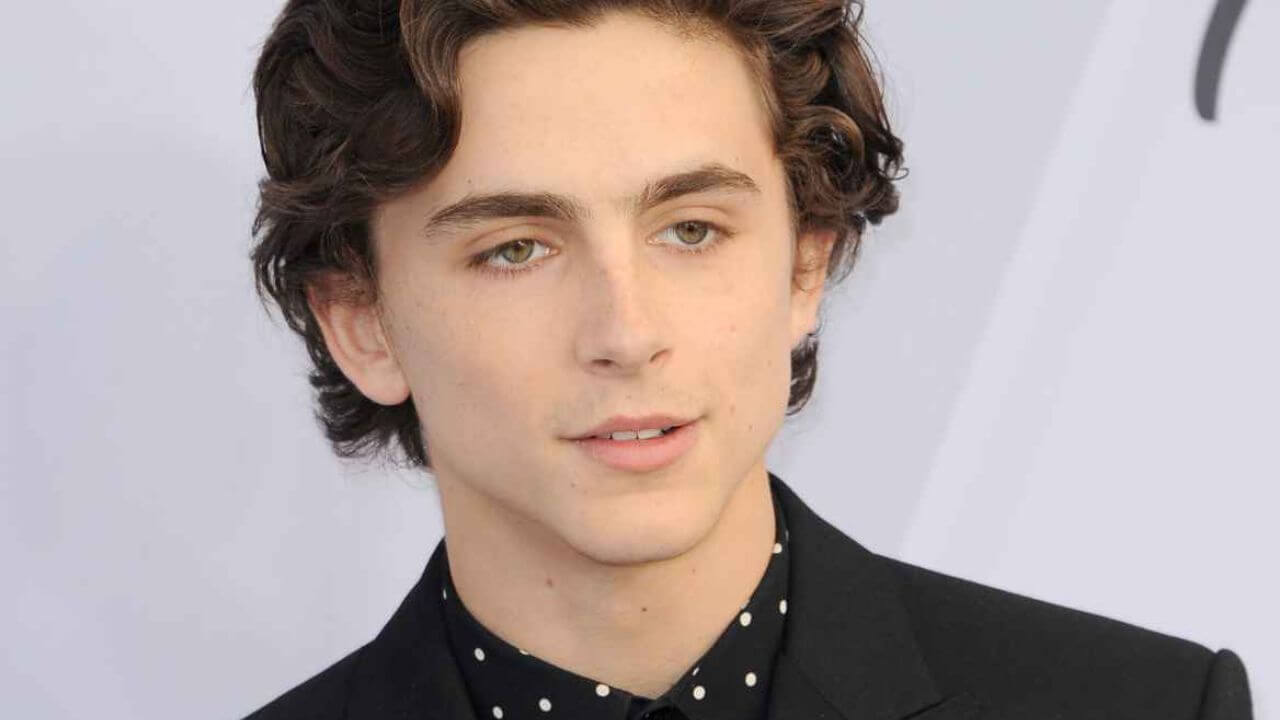 Timothée Chalamet